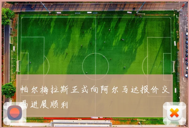 帕尔梅拉斯正式向阿尔马达报价交易进展顺利