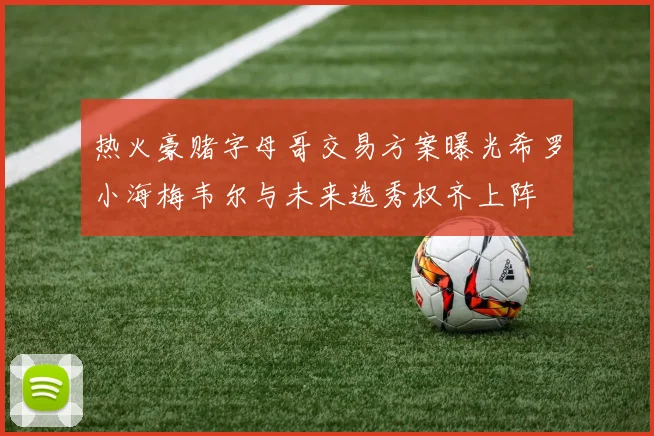 热火豪赌字母哥交易方案曝光希罗小海梅韦尔与未来选秀权齐上阵